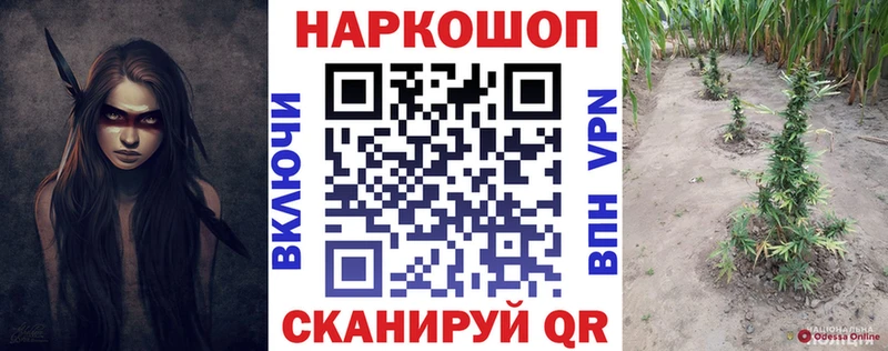 Что такое Камбарка Амфетамин  Псилоцибиновые грибы  Бошки Шишки  ГАШ 