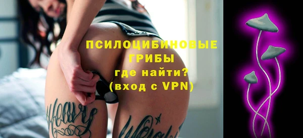 дживик Володарск