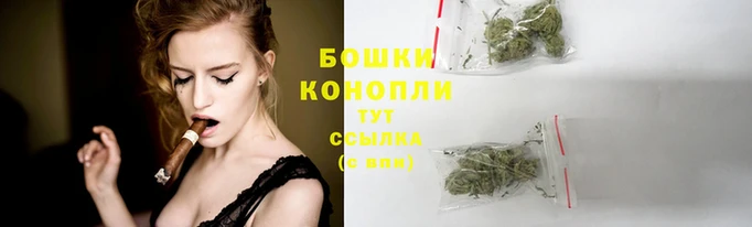 МДПВ Волоколамск