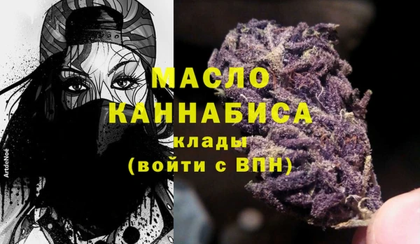 дживик Володарск