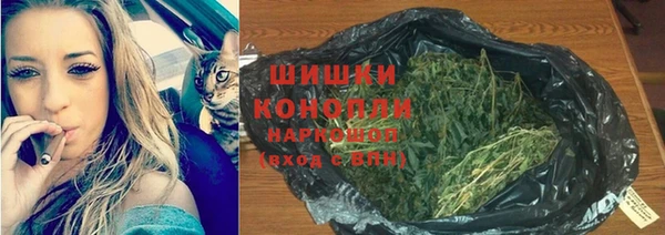 дживик Володарск